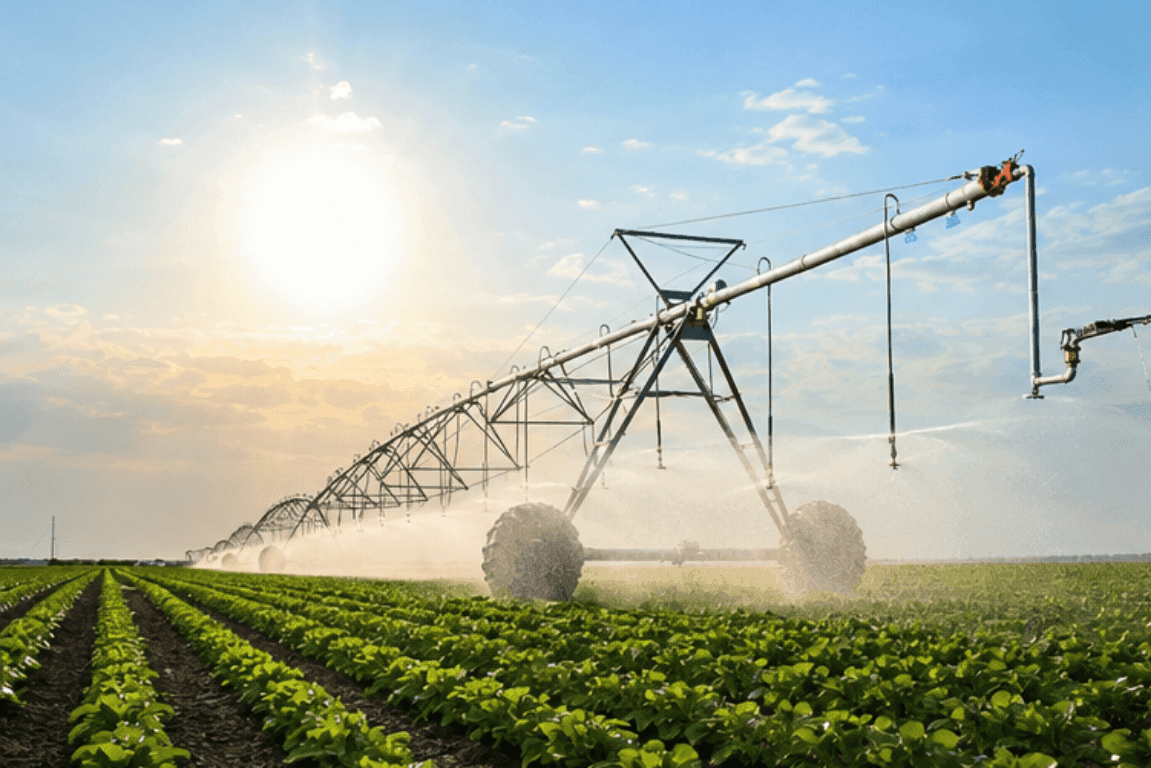 Used in vegetable and cereal growth