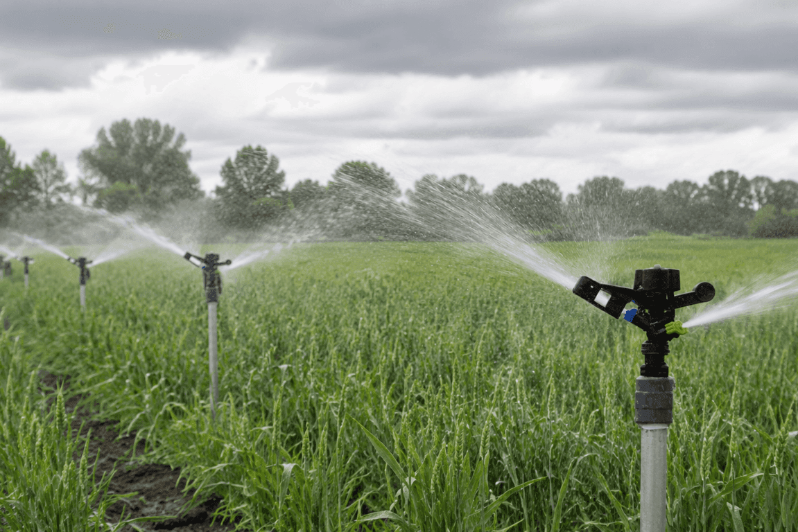 Used in nursery crop conveyance